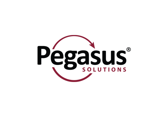 Pegasus Solutions logo